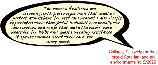 Guest comment - SEE