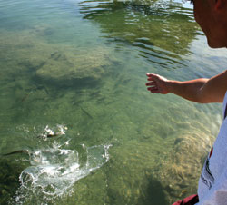 Plantation Bay, a Real Resort with a Real Spa - Sanitation