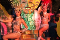 Brazilian Fever